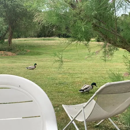 Tres Jolie Maison Sur Golf Proche * Talmont-Saint-Hilaire