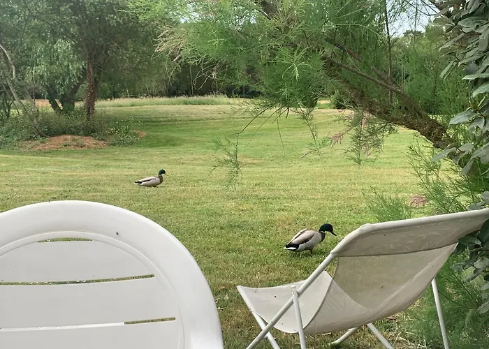 Très Jolie Maison Sur Golf Proche * Talmont-Saint-Hilaire